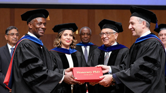 Honorary Professorship